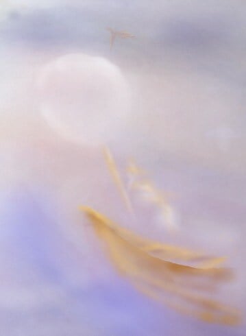 388F1023-F9A4-411A-AC5A-12763C0032C7_4_5005_c