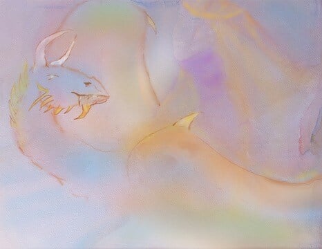 B033F3E3-348B-43CA-A062-2721DF1738E7_4_5005_c